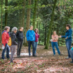 WWF-Workshop_AbInDieNatur–LehrplanorientiertesUnterrichtenDraussen_2019_WEB-74