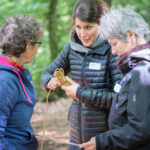 WWF-Workshop_AbInDieNatur–LehrplanorientiertesUnterrichtenDraussen_2019_WEB-95