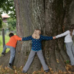 Kinder umspannen einen Baum