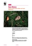 2020-09-lehrmittel-anleitung-baummemory