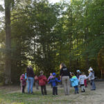 Wald_c_WWF-Zuerich-1