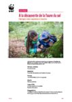 Aspirateur insectes