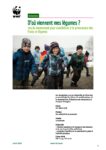 Dou Viennent Mes Legumes