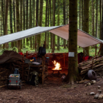 Waldschule (Draussen unterrichten) - TRIPtoNATURE