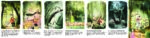 wald-knigge-flyer-deutsch-1-1