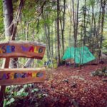 Waldschulzimmer