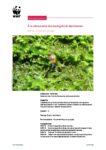 A la decouverte des escargots et des limaces
