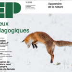 Capture-décran-2021-04-22-à-10.30.42