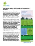Cinq-bonnes-raisons-pour-enseigner-dehors