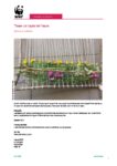 Tisser un tapis de fleurs