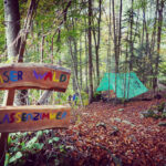 Waldschzulzimmer_1