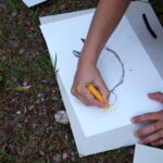 Voegel2
