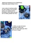 Essais-pour-allumer-le-feu-2