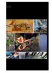 2022-03-Rapport-final-Ecole-en-plein-air-2018-2021 (1)