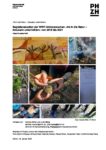 Abschlussbericht_WWF_Ab-in-die-Natur_2018-2021-2