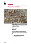 Bricolage-bois-flotte