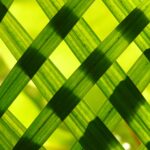 Struktur aus Gras