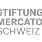 mercator-stiftung-grau