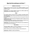 Cycle-1-Que-font-les-animaux-en-hiver
