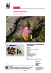 Bastelanleitung-Adventswichtel-aus-Naturmaterial