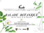 low-presentation-du-projet-et-jeu-de-carte