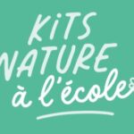 Kit nature Salamandre