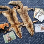 Tasche-Fuchs