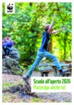 Flyer2026_Online_IT