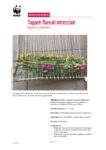 2018-04-dossier-didattico-intrecciare-fiori