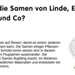 Löwenzahn