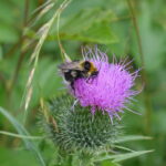 2019-08-24_WWF_Flusserlebnistag-13