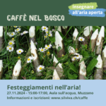 IAA Caffe 20241127