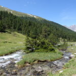 Wassererlebnis_S_26_20190705_S-charl-58