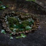 2015 F LANDART 0527