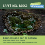 Caffè nel bosco 2025 - Connessione