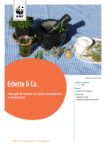 2017-05-dossier-didattico-erbette