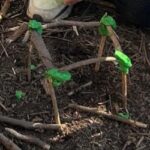 cube 2 suite