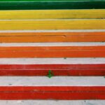 federica-giusti-P7ff55Unfac-unsplash