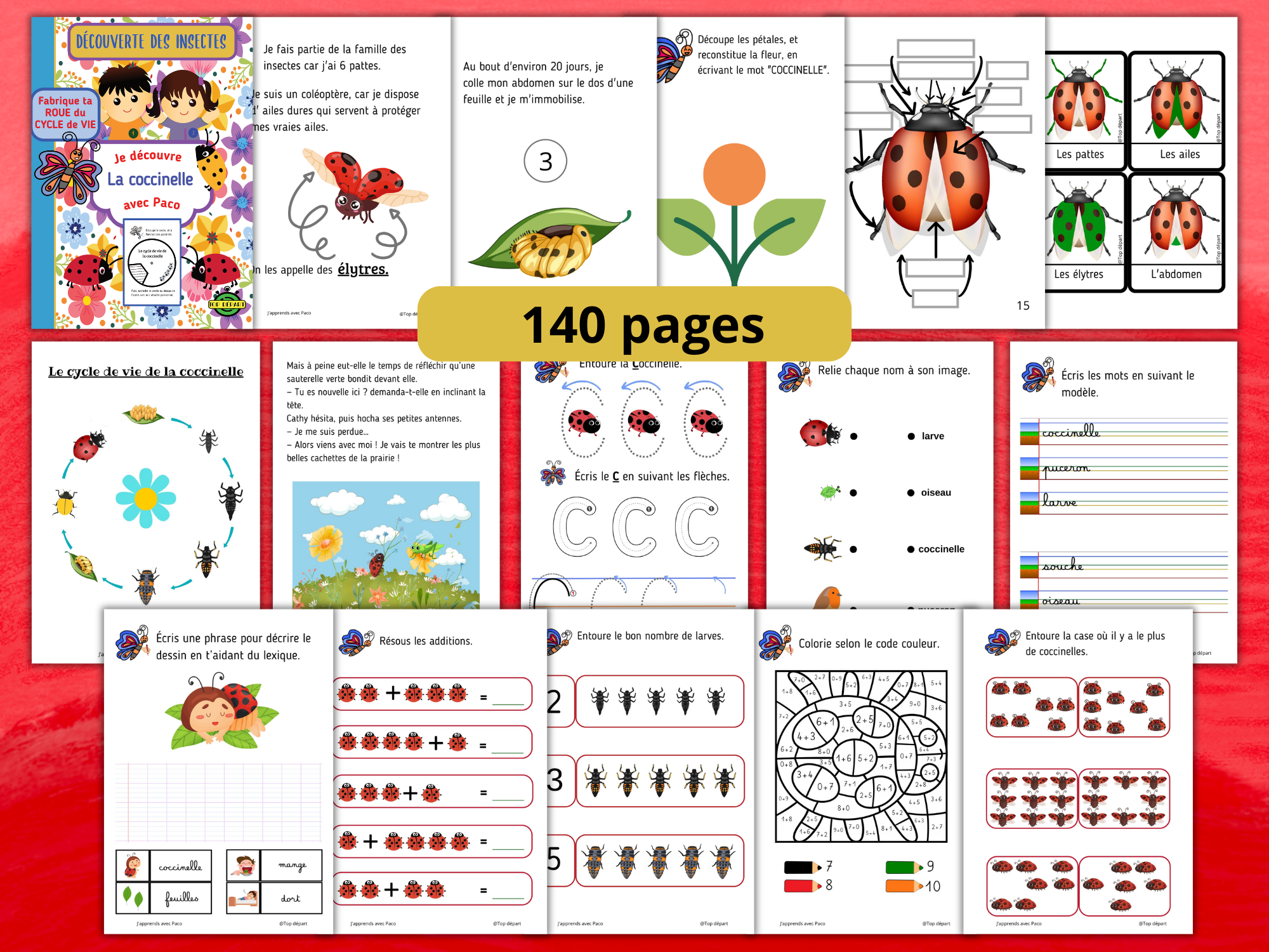 publi-facebook-coccinelle