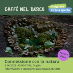 Caffè Nel Bosco Connessione 04 06