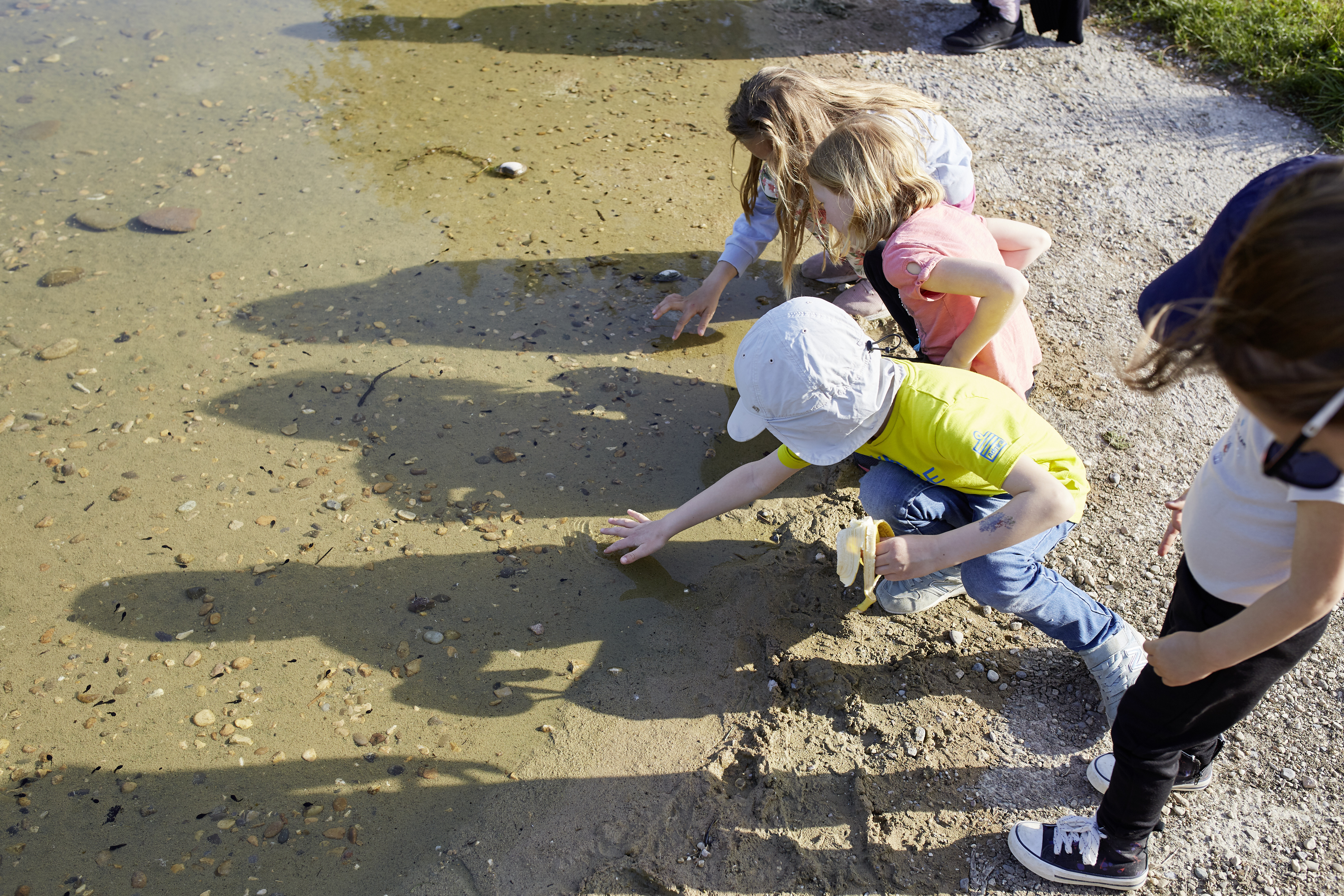 Leben-am-und-im-Wasser_Anlaesse_Crapauds-1