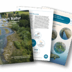 lernort natur wasser