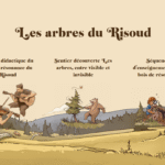 Les_arbres_du_Risoud_c_Pierre_Abraham_Rochat