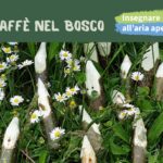 caffè nel bosco_festeggiamenti