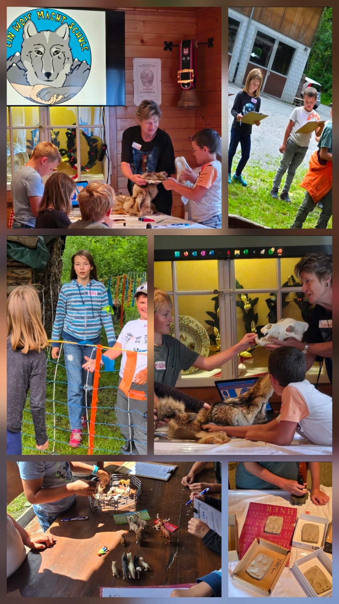 Collage-Ferienpass-2025