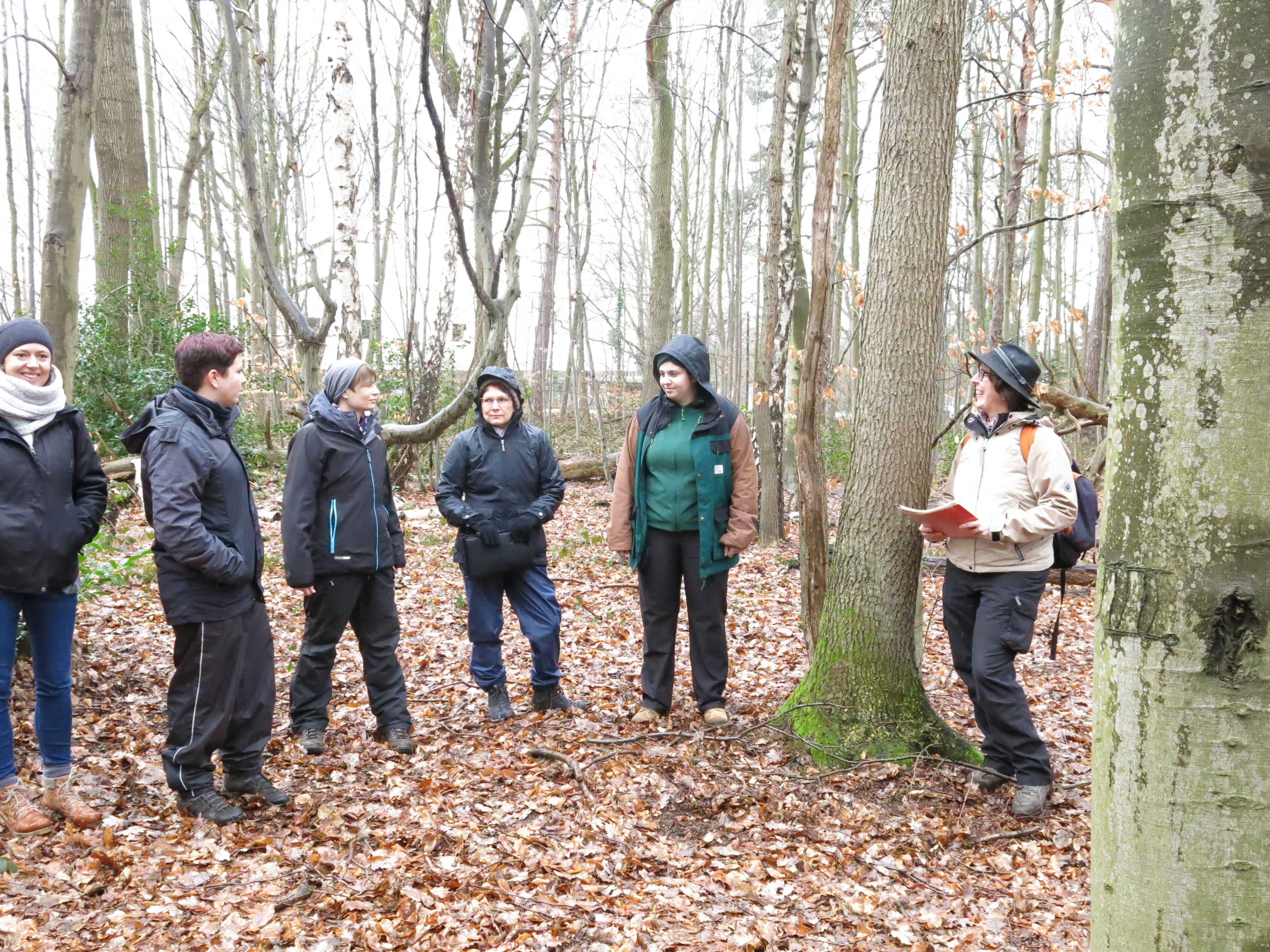 ein-Tag-im-Wald