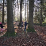 Flawil-Baeume-Winterwald-20251112-3-1