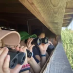 2023-Grundkurs-OrniKids-Web