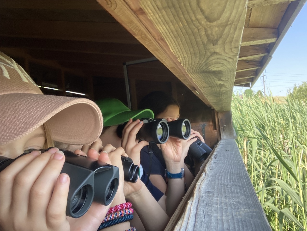 2023-Grundkurs-OrniKids-Web